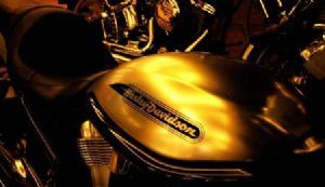 "Gold"