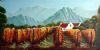 "Winelands at Calitzdorp"