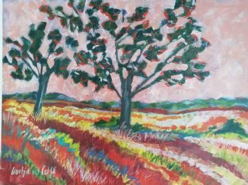 "Kalahari landscape"