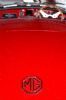 "Red Mg"