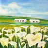 "Spring Arum Lilies"