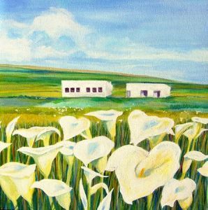 "Spring Arum Lilies"