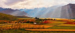 "Autumn - Hex-river Valley"