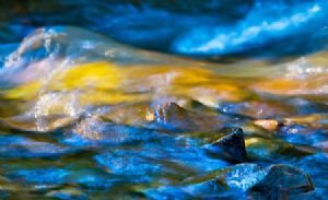"Water and Light"