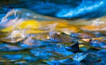 "Water and Light"