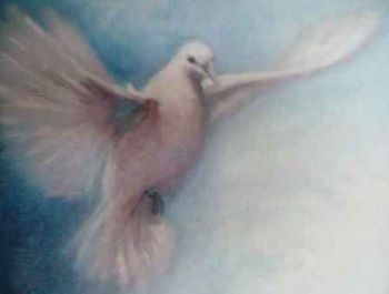 "Dove 2"
