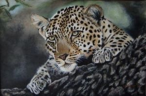 "Leopard"