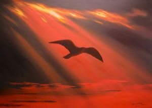 "Sunset Soaring ..."