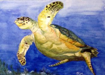 "Sea Turtle"