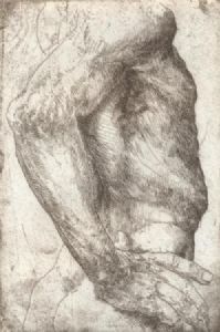 "Etching: Adam 1"