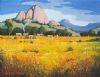 "Farm Scene near Garies"