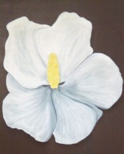"Rose of Sharon"