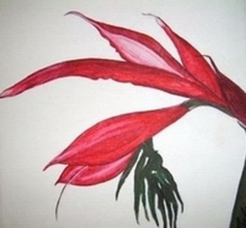 "Pineapple in Bloom"