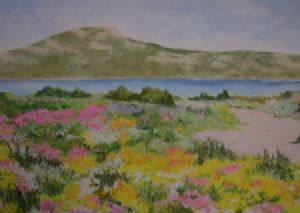 "Wild Flowers Langebaan Reserve"