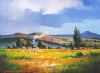 "Namaqua Rain Season"