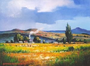 "Namaqua Rain Season"