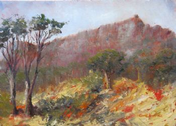 "Table Mountain Cable Station "