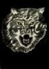 "Canus Lupus"