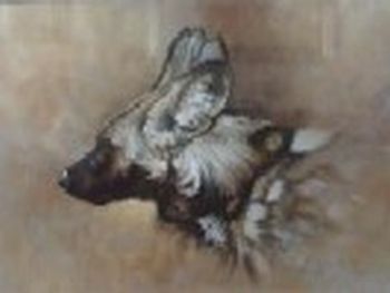 "Wild Dog Portrait"