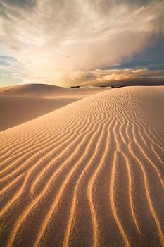 "Desert Storm"