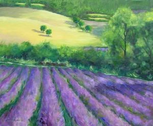 "Lavender field"