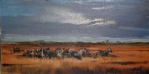 "Zebras"