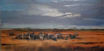 "Zebras"