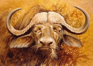 "Cape Buffalo Head"