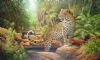 "Baviaanskloof Leopard"