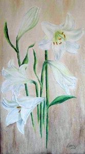 "St Joseph Lilies"