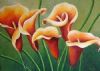 "Orange Arums"