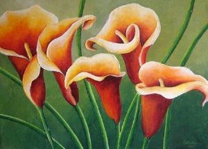 "Orange Arums"
