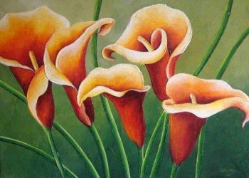 "Orange Arums"