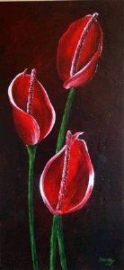 "Red Anthiriums"