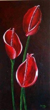 "Red Anthiriums"