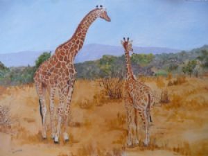 "Giraffes - Mother and Baby"