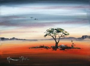 "African Thorntree"