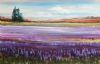 "lavender fields-framed"