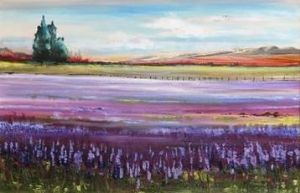 "lavender fields-framed"