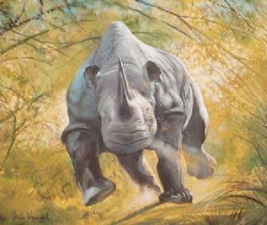 "Charging Rhinoceros"