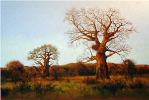 "Baobab Afternoon"