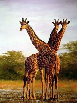"Tall Order"