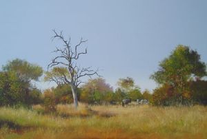 "Bushveld 2"