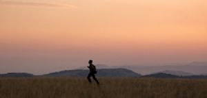 "Evening, Transkei"