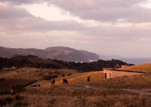 "Rural Transkei 2"