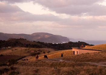 "Rural Transkei 2"