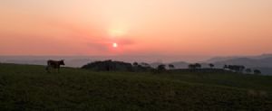 "Transkei Hills"