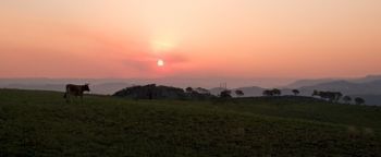 "Transkei Hills"