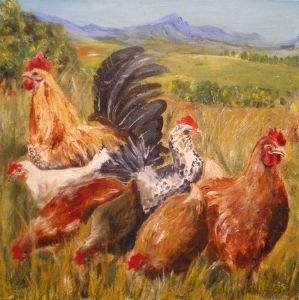 "Werfhoenders - Yard Chickens"
