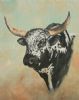 "Nguni #6"